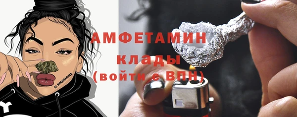 шишки Аша