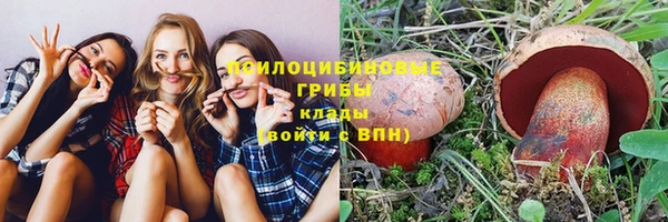 каннабис Нефтекумск