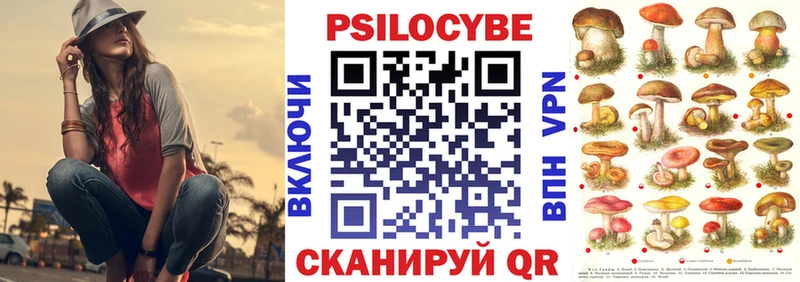 гидра зеркало  Электрогорск  Псилоцибиновые грибы прущие грибы 