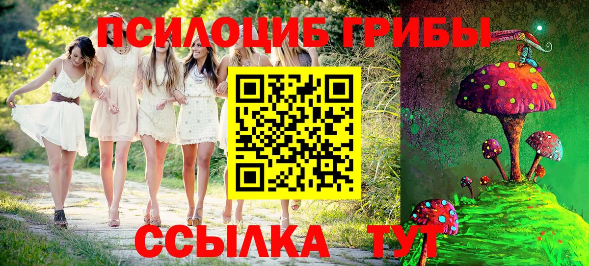 Галлюциногенные грибы Psilocybe Электрогорск
