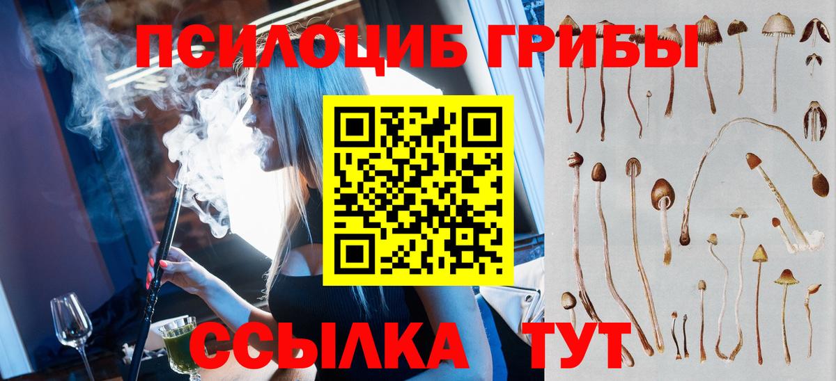 Галлюциногенные грибы мицелий  Псилоцибиновые грибы прущие грибы  Вход с VPN  Электрогорск 