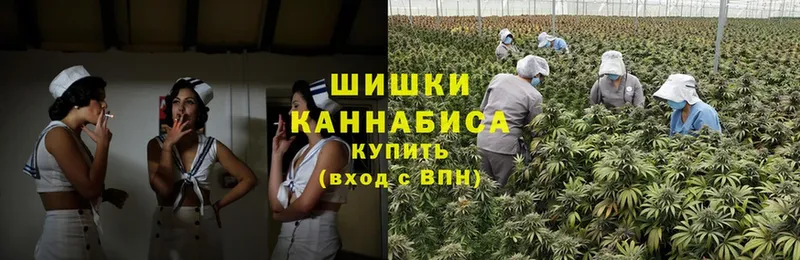 Бошки марихуана SATIVA & INDICA  даркнет сайт  Электрогорск 